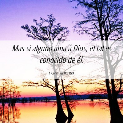 Picture 06 - 1 Corintios 8:3 RVA - Mas si alguno ama á Dios, el tal es conocido de - Bible Verse Picture