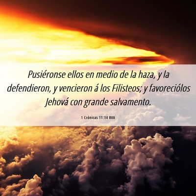 Picture 06 - 1 Crónicas 11:14 RVA - Pusiéronse ellos en medio de la haza, y la - Bible Verse Picture