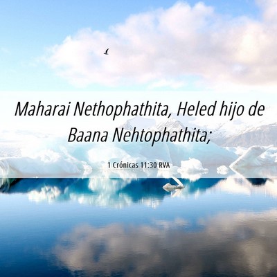 Picture 06 - 1 Crónicas 11:30 RVA - Maharai Nethophathita, Heled hijo de Baana - Bible Verse Picture