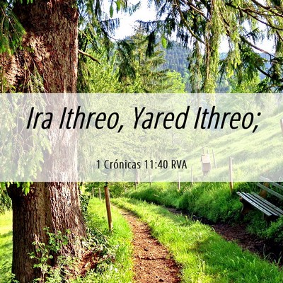 Picture 06 - 1 Crónicas 11:40 RVA - Ira Ithreo, Yared - Bible Verse Picture