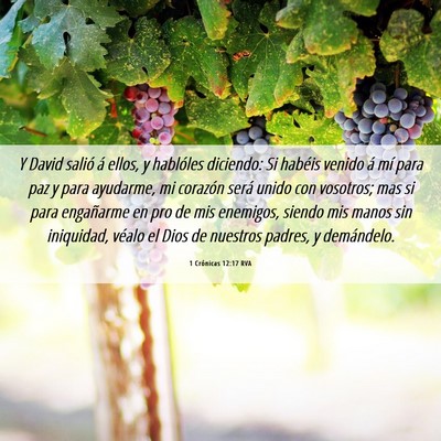Picture 06 - 1 Crónicas 12:17 RVA - Y David salió á ellos, y hablóles diciendo: Si - Bible Verse Picture