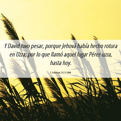 Picture 06 - 1 Crónicas 13:11 RVA - Y David tuvo pesar, porque Jehová había hecho - Bible Verse Picture