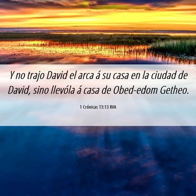 Picture 06 - 1 Crónicas 13:13 RVA - Y no trajo David el arca á su casa en la ciudad - Bible Verse Picture