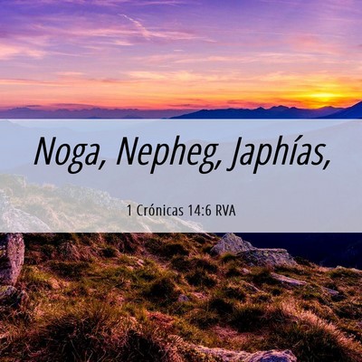 Picture 06 - 1 Crónicas 14:6 RVA - Noga, Nepheg, - Bible Verse Picture