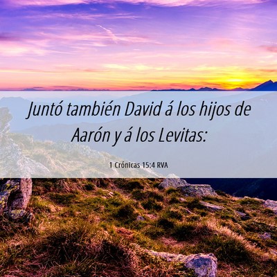 Picture 06 - 1 Crónicas 15:4 RVA - Juntó también David á los hijos de Aarón y á - Bible Verse Picture