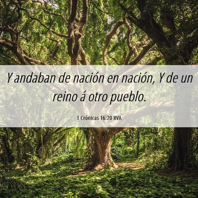 Picture 06 - 1 Crónicas 16:20 RVA - Y andaban de nación en nación, Y de un reino á - Bible Verse Picture