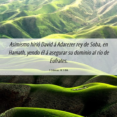 Picture 06 - 1 Crónicas 18:3 RVA - Asimismo hirió David á Adarezer rey de Soba, en - Bible Verse Picture