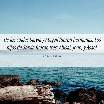 Picture 06 - 1 Crónicas 2:16 RVA - De los cuales Sarvia y Abigail fueron hermanas. - Bible Verse Picture