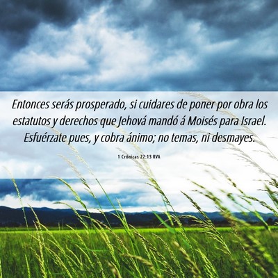 Picture 06 - 1 Crónicas 22:13 RVA - Entonces serás prosperado, si cuidares de poner - Bible Verse Picture