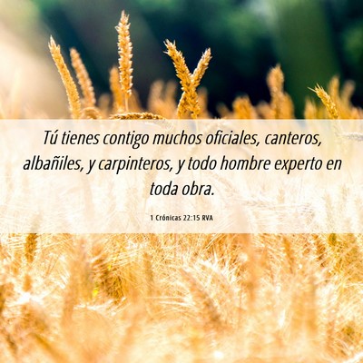 Picture 06 - 1 Crónicas 22:15 RVA - Tú tienes contigo muchos oficiales, canteros, - Bible Verse Picture