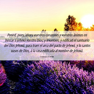 Picture 06 - 1 Crónicas 22:19 RVA - Poned, pues, ahora vuestros corazones y vuestros - Bible Verse Picture