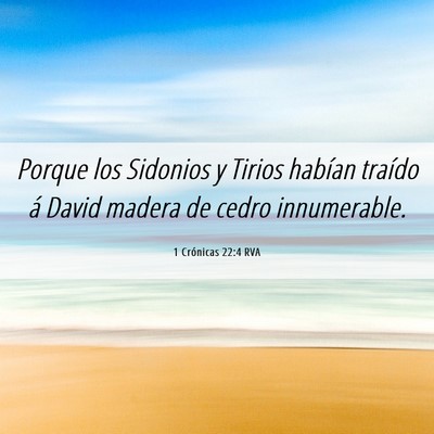 Picture 06 - 1 Crónicas 22:4 RVA - Porque los Sidonios y Tirios habían traído á - Bible Verse Picture