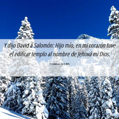 Picture 06 - 1 Crónicas 22:7 RVA - Y dijo David á Salomón: Hijo mío, en mi - Bible Verse Picture