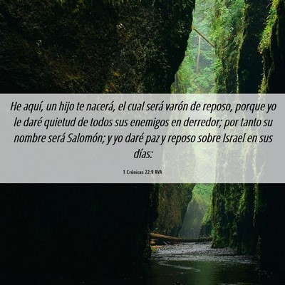 Picture 06 - 1 Crónicas 22:9 RVA - He aquí, un hijo te nacerá, el cual será - Bible Verse Picture
