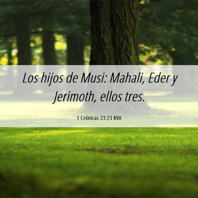 Picture 06 - 1 Crónicas 23:23 RVA - Los hijos de Musi: Mahali, Eder y Jerimoth, ellos - Bible Verse Picture