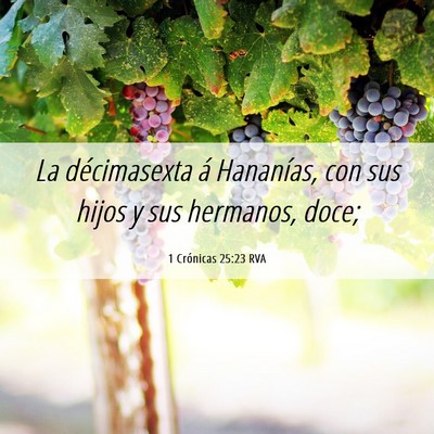 Picture 06 - 1 Crónicas 25:23 RVA - La décimasexta á Hananías, con sus hijos y sus - Bible Verse Picture