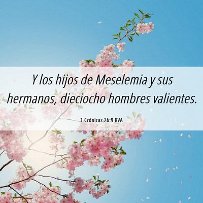 Picture 06 - 1 Crónicas 26:9 RVA - Y los hijos de Meselemia y sus hermanos, - Bible Verse Picture