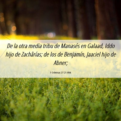 Picture 06 - 1 Crónicas 27:21 RVA - De la otra media tribu de Manasés en Galaad, - Bible Verse Picture