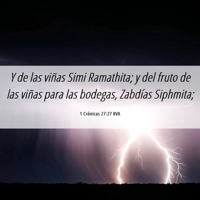 Picture 06 - 1 Crónicas 27:27 RVA - Y de las viñas Simi Ramathita; y del fruto de - Bible Verse Picture