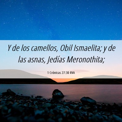 Picture 06 - 1 Crónicas 27:30 RVA - Y de los camellos, Obil Ismaelita; y de las - Bible Verse Picture