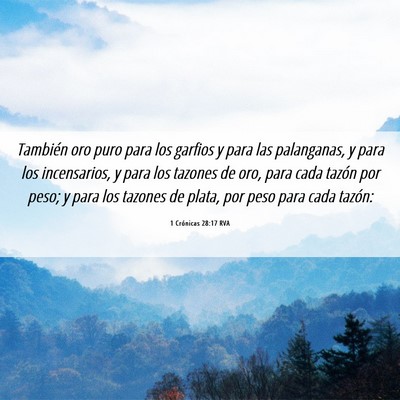 Picture 06 - 1 Crónicas 28:17 RVA - También oro puro para los garfios y para las - Bible Verse Picture