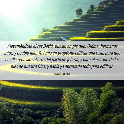 Picture 06 - 1 Crónicas 28:2 RVA - Y levantándose el rey David, puesto en pie dijo: - Bible Verse Picture