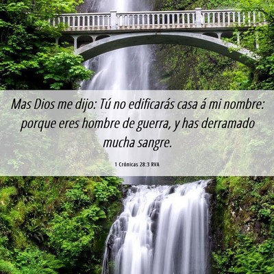 Picture 06 - 1 Crónicas 28:3 RVA - Mas Dios me dijo: Tú no edificarás casa á mi - Bible Verse Picture