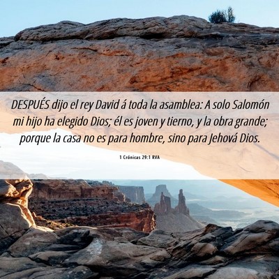 Picture 06 - 1 Crónicas 29:1 RVA - DESPUÉS dijo el rey David á toda la asamblea: A - Bible Verse Picture