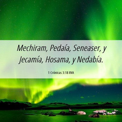 Picture 06 - 1 Crónicas 3:18 RVA - Mechiram, Pedaía, Seneaser, y Jecamía, Hosama, - Bible Verse Picture