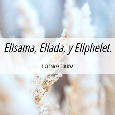 Picture 06 - 1 Crónicas 3:8 RVA - Elisama, Eliada, y - Bible Verse Picture