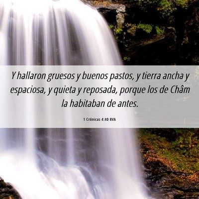 Picture 06 - 1 Crónicas 4:40 RVA - Y hallaron gruesos y buenos pastos, y tierra - Bible Verse Picture