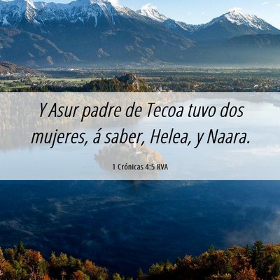 Picture 06 - 1 Crónicas 4:5 RVA - Y Asur padre de Tecoa tuvo dos mujeres, á saber, - Bible Verse Picture