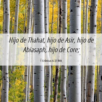 Picture 06 - 1 Crónicas 6:37 RVA - Hijo de Thahat, hijo de Asir, hijo de Abiasaph, - Bible Verse Picture