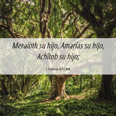 Picture 06 - 1 Crónicas 6:52 RVA - Meraioth su hijo, Amarías su hijo, Achîtob su - Bible Verse Picture