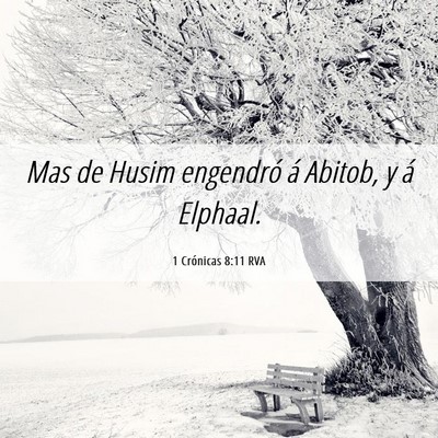 Picture 06 - 1 Crónicas 8:11 RVA - Mas de Husim engendró á Abitob, y á - Bible Verse Picture