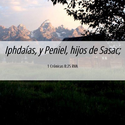 Picture 06 - 1 Crónicas 8:25 RVA - Iphdaías, y Peniel, hijos de - Bible Verse Picture