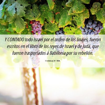 Picture 06 - 1 Crónicas 9:1 RVA - Y CONTADO todo Israel por el orden de los - Bible Verse Picture