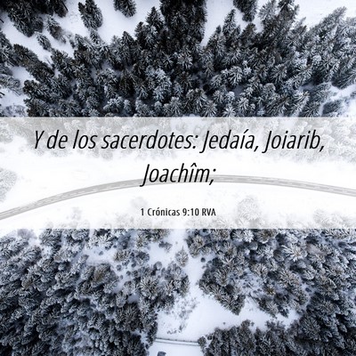 Picture 06 - 1 Crónicas 9:10 RVA - Y de los sacerdotes: Jedaía, Joiarib, - Bible Verse Picture