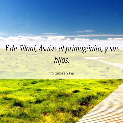 Picture 06 - 1 Crónicas 9:5 RVA - Y de Siloni, Asaías el primogénito, y sus - Bible Verse Picture