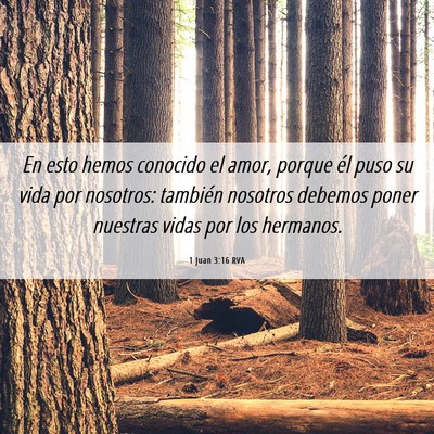 Picture 06 - 1 Juan 3:16 RVA - En esto hemos conocido el amor, porque él puso - Bible Verse Picture