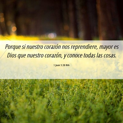 Picture 06 - 1 Juan 3:20 RVA - Porque si nuestro corazón nos reprendiere, mayor - Bible Verse Picture