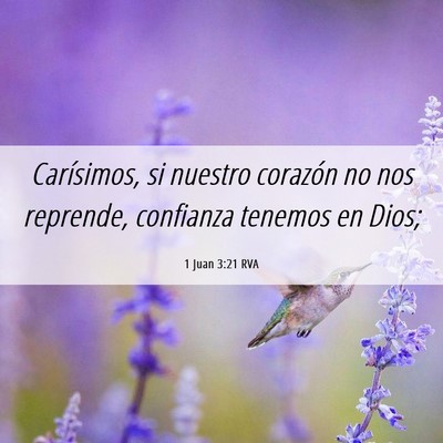 Picture 06 - 1 Juan 3:21 RVA - Carísimos, si nuestro corazón no nos reprende, - Bible Verse Picture