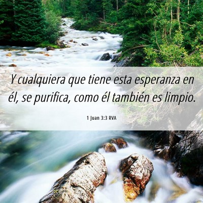Picture 06 - 1 Juan 3:3 RVA - Y cualquiera que tiene esta esperanza en él, se - Bible Verse Picture
