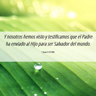 Picture 06 - 1 Juan 4:14 RVA - Y nosotros hemos visto y testificamos que el - Bible Verse Picture