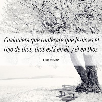 Picture 06 - 1 Juan 4:15 RVA - Cualquiera que confesare que Jesús es el Hijo de - Bible Verse Picture
