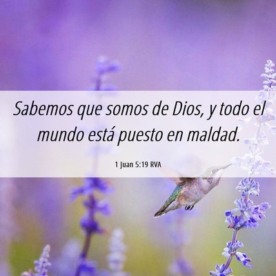 Picture 06 - 1 Juan 5:19 RVA - Sabemos que somos de Dios, y todo el mundo está - Bible Verse Picture