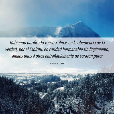 Picture 06 - 1 Pedro 1:22 RVA - Habiendo purificado vuestra almas en la - Bible Verse Picture