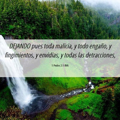 Picture 06 - 1 Pedro 2:1 RVA - DEJANDO pues toda malicia, y todo engaño, y - Bible Verse Picture