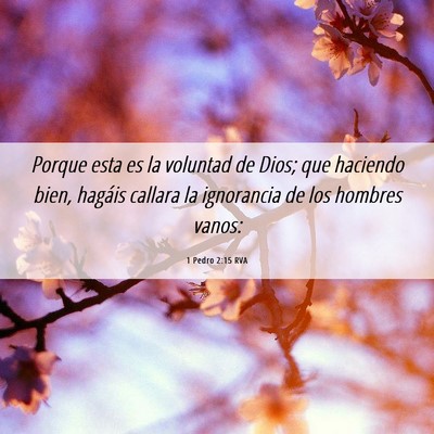 Picture 06 - 1 Pedro 2:15 RVA - Porque esta es la voluntad de Dios; que haciendo - Bible Verse Picture