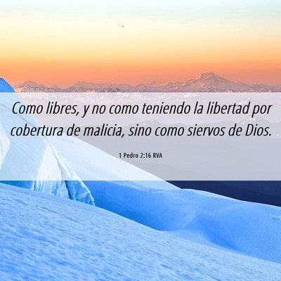 Picture 06 - 1 Pedro 2:16 RVA - Como libres, y no como teniendo la libertad por - Bible Verse Picture